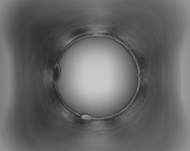 X0000111151169200907071103