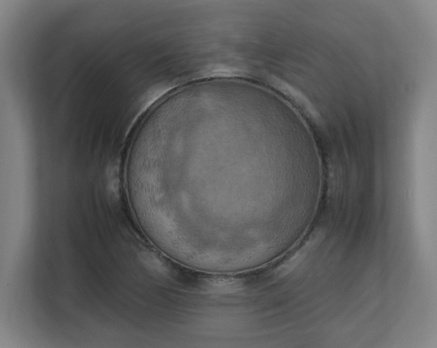 X0000111151170200907071103