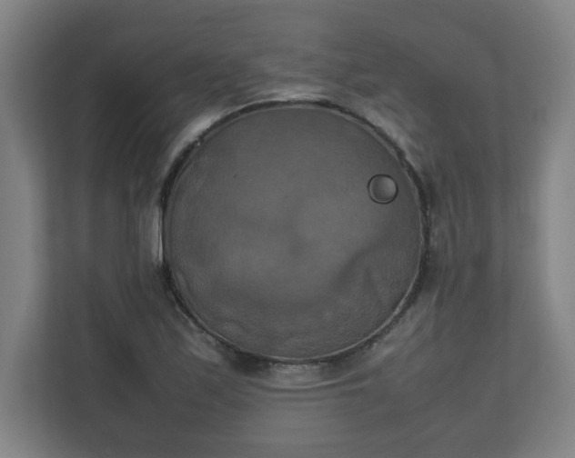 X0000111151171200907071103