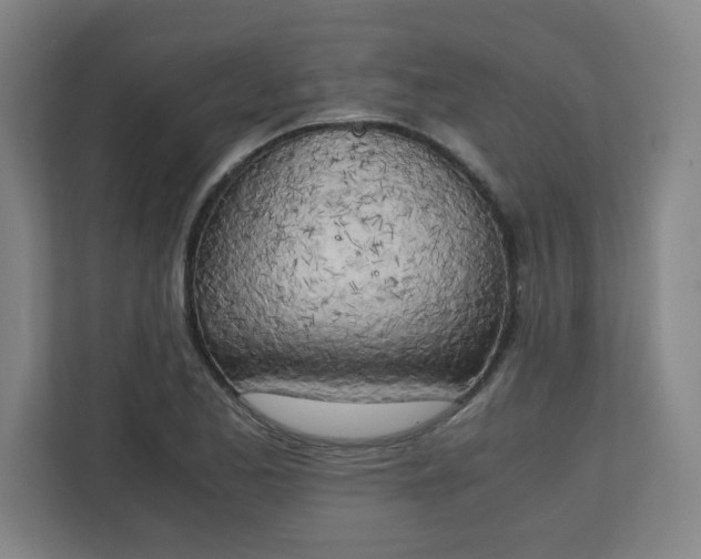 X0000111151173200907071103
