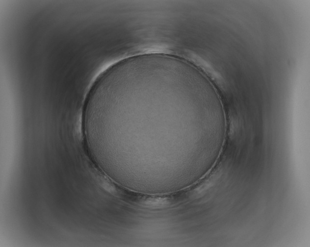 X0000111151174200907071103