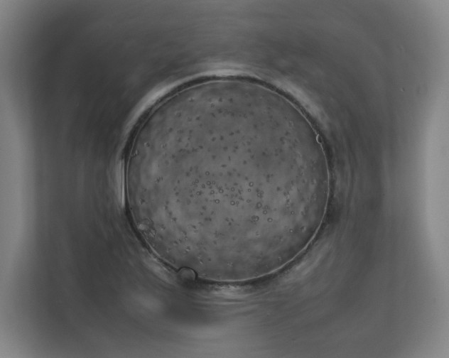 X0000111151175200907071103