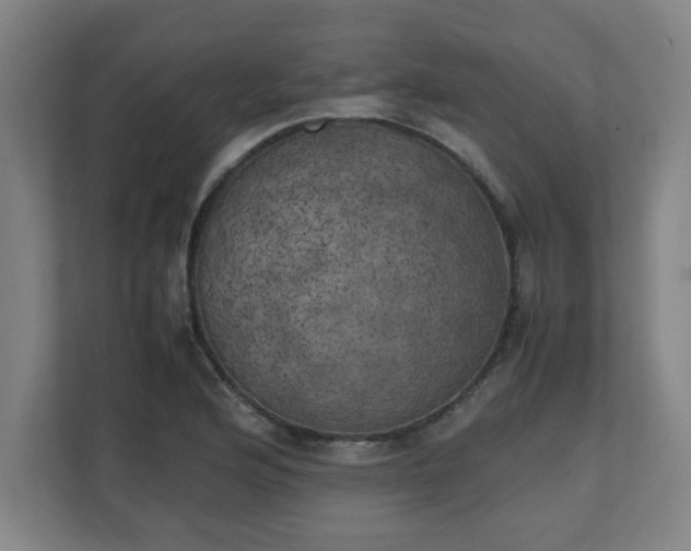 X0000111151176200907071103