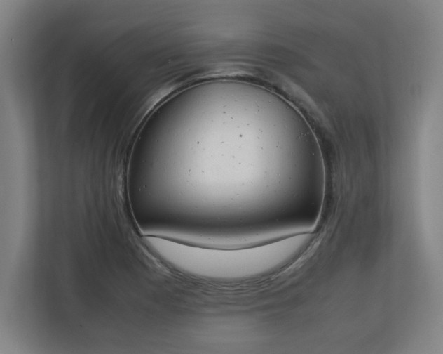X0000111151177200907071103