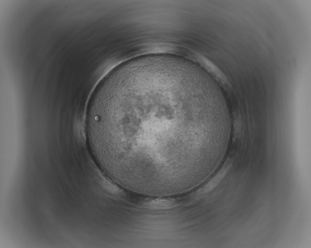 X0000111151178200907071103