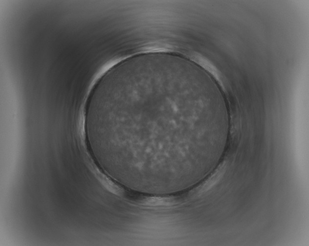 X0000111151179200907071103
