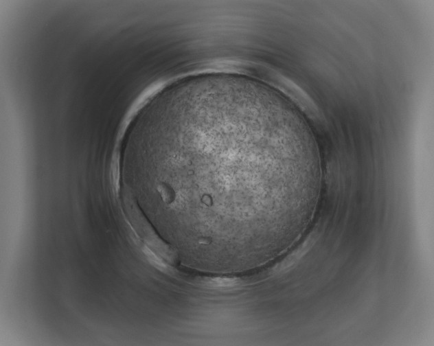 X0000111151180200907071103