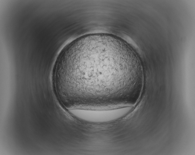 X0000111151181200907071103
