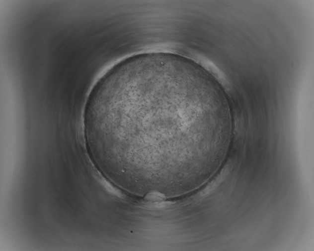 X0000111151184200907071103