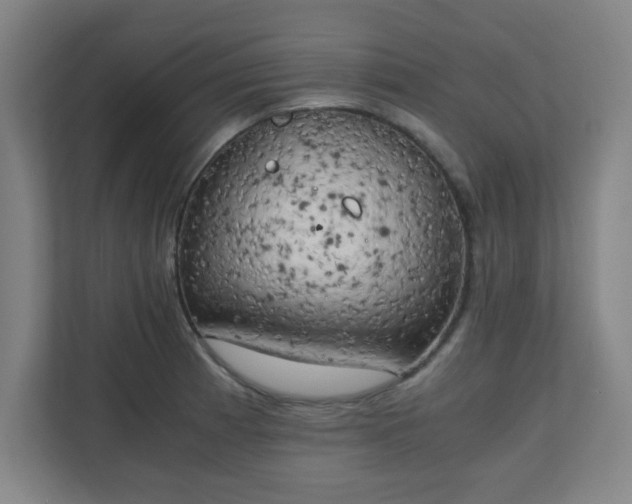 X0000111151185200907071103