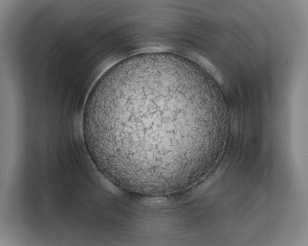 X0000111151186200907071103