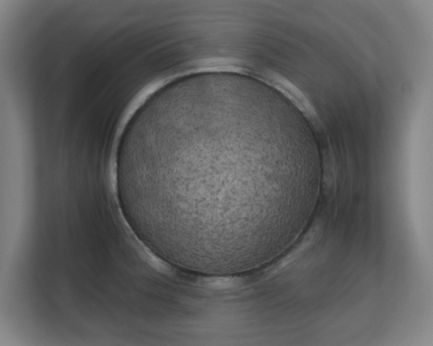 X0000111151188200907071103