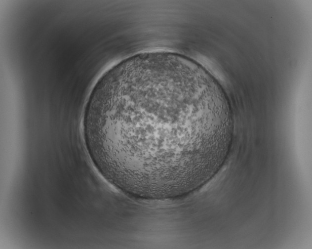 X0000111151189200907071103