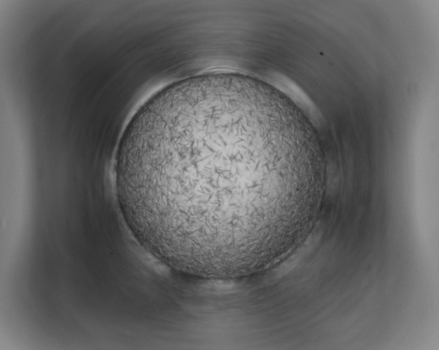 X0000111151190200907071103
