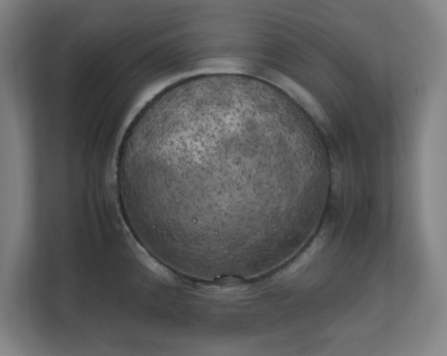 X0000111151192200907071103