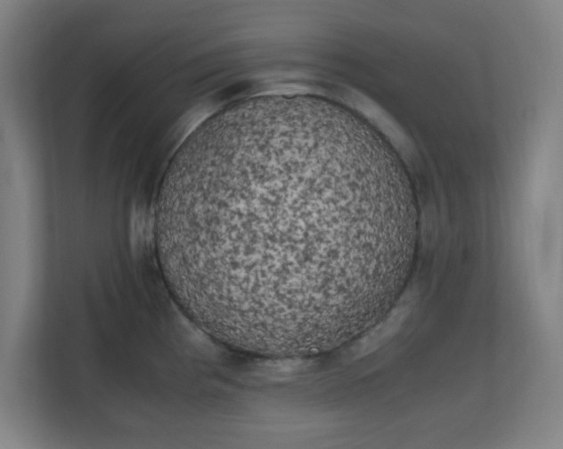 X0000111151193200907071103