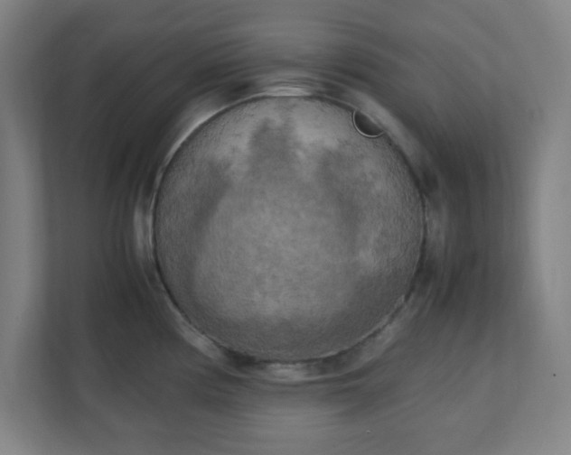 X0000111151194200907071103