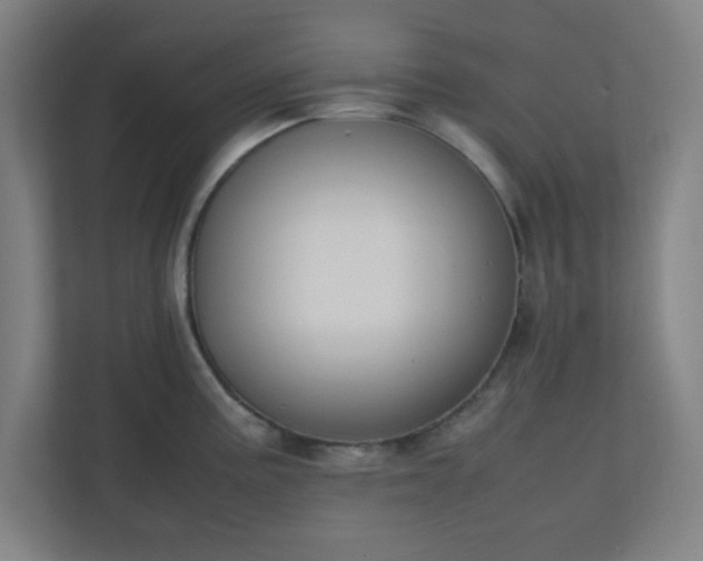 X0000111151195200907071103
