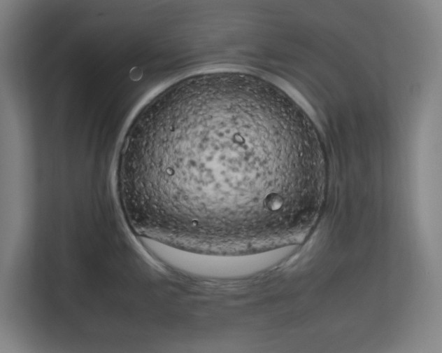 X0000111151197200907071103