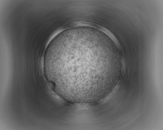 X0000111151198200907071103