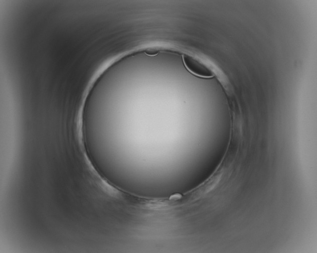 X0000111151199200907071102