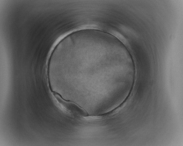 X0000111151200200907071102