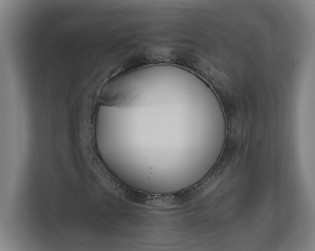 X0000111151201200907071102