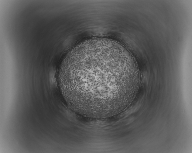 X0000111151202200907071102