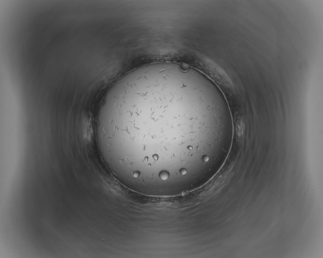 X0000111151204200907071102