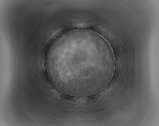 X0000111151205200907071102