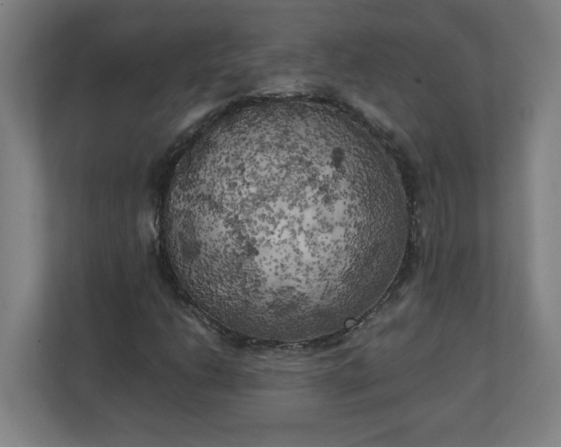 X0000111151206200907071102