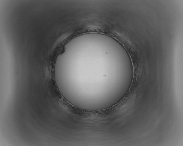 X0000111151207200907071102