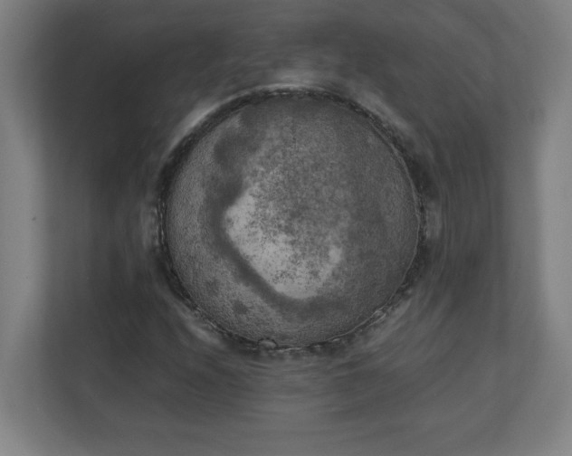X0000111151208200907071102