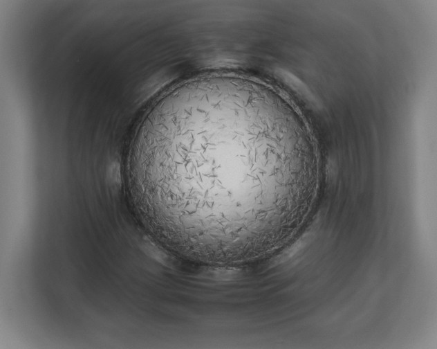 X0000111151209200907071102