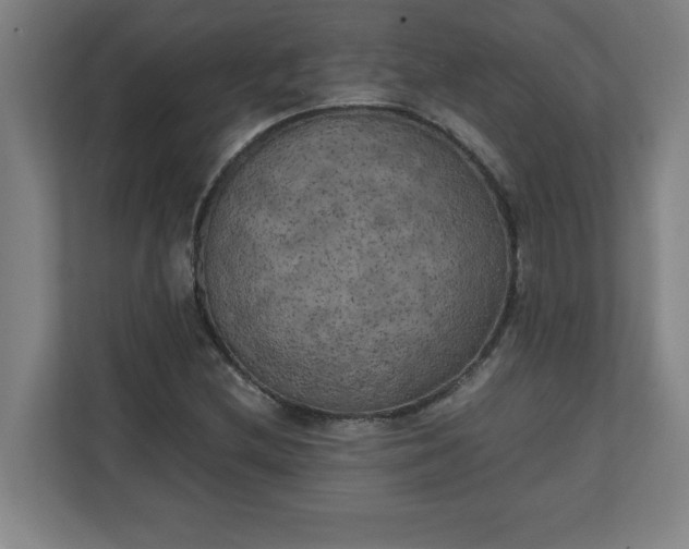 X0000111151212200907071102