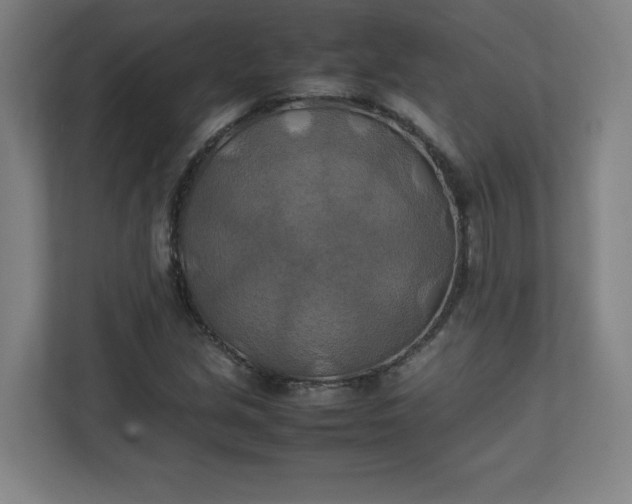 X0000111151213200907071102