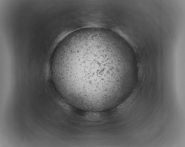 X0000111151215200907071102