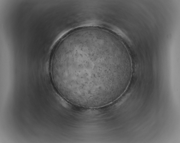 X0000111151216200907071102