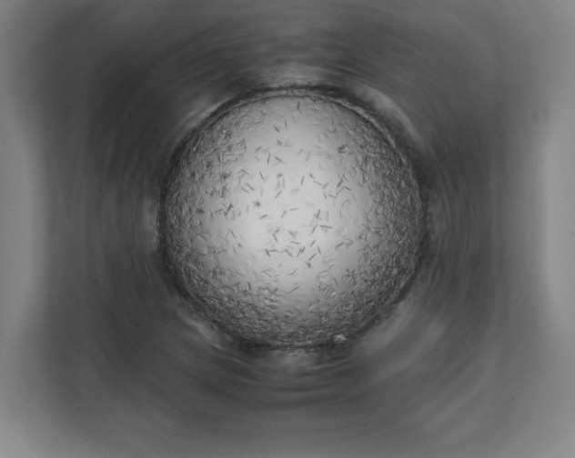 X0000111151217200907071102