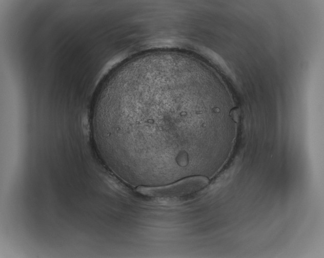 X0000111151218200907071102
