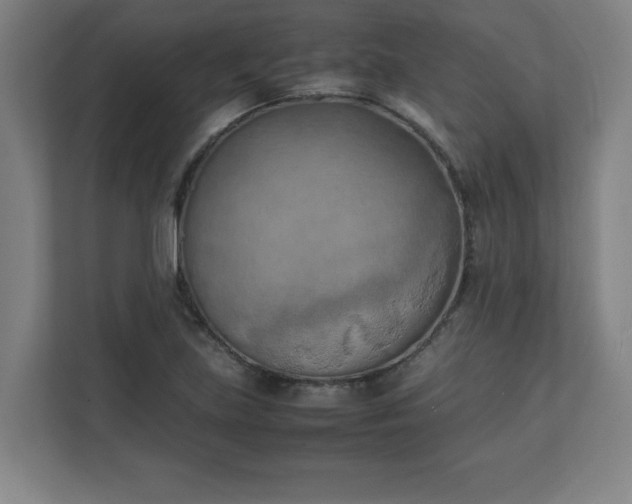 X0000111151219200907071102