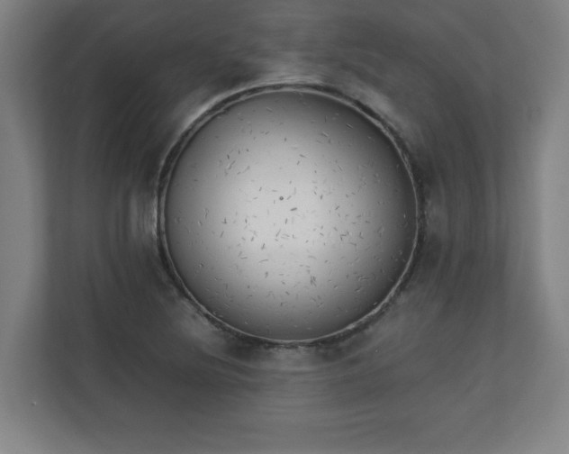 X0000111151220200907071102