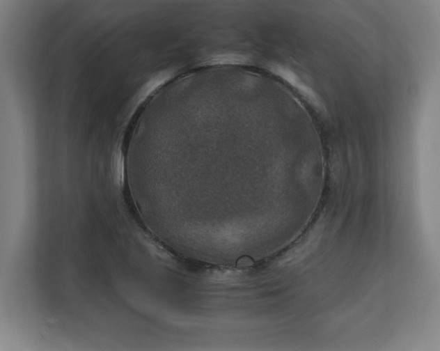 X0000111151221200907071102