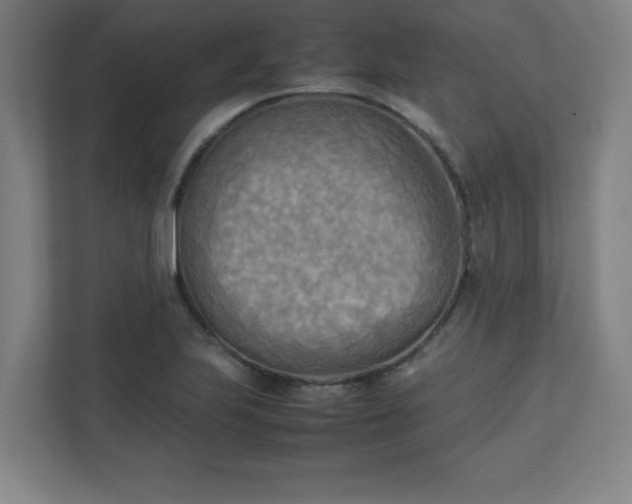 X0000111151223200907071102
