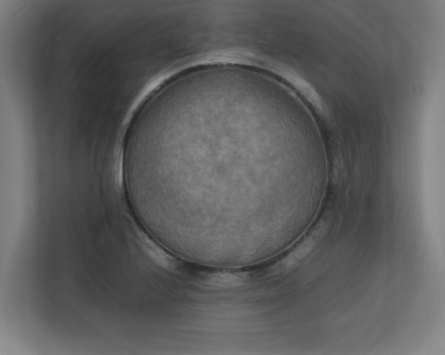 X0000111151224200907071102
