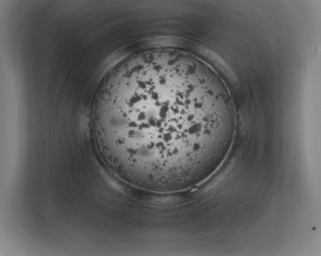X0000111151225200907071102