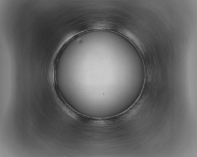 X0000111151227200907071102