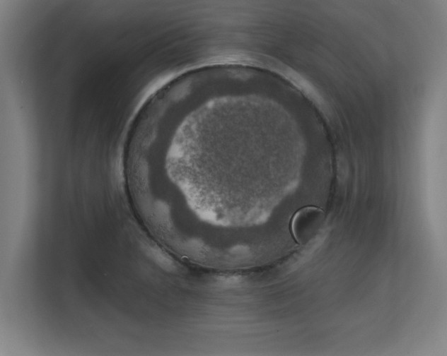 X0000111151230200907071102
