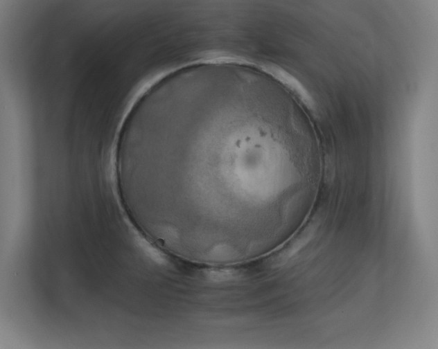 X0000111151231200907071102