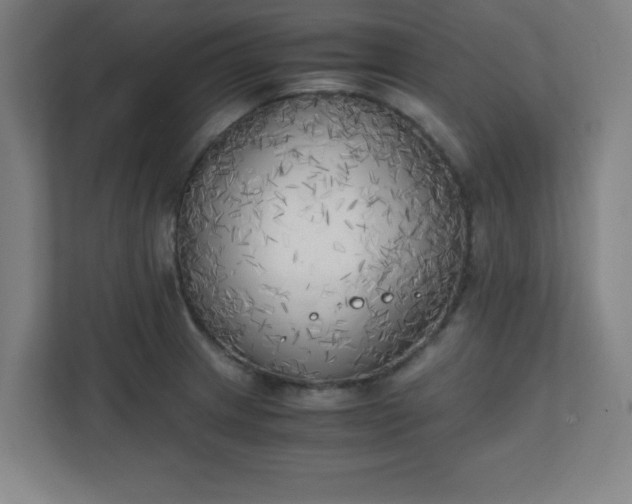 X0000111151233200907071102